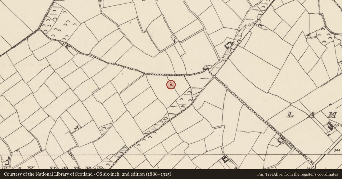 Ordnance Survey six-inch map, 2nd edition (1888–1915) covering the location of Moated site, Ballinclay Upper, County Wexford, with a pin at the register's coordinates