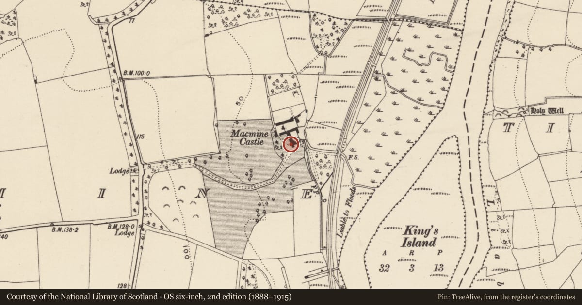 Ordnance Survey six-inch map, 2nd edition (1888–1915) covering the location of Castle - tower house, MacKmine, County Wexford, with a pin at the register's coordinates