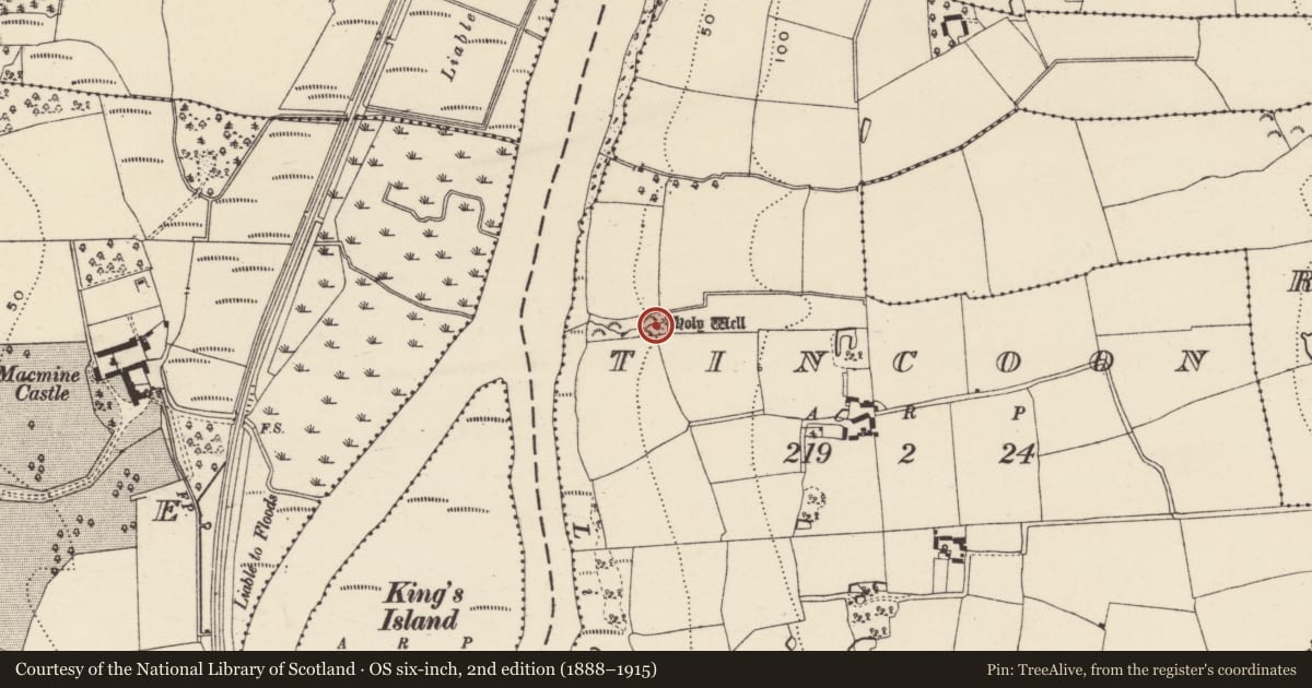 Ordnance Survey six-inch map, 2nd edition (1888–1915) covering the location of Ritual site - holy well, Tincoon, County Wexford, with a pin at the register's coordinates
