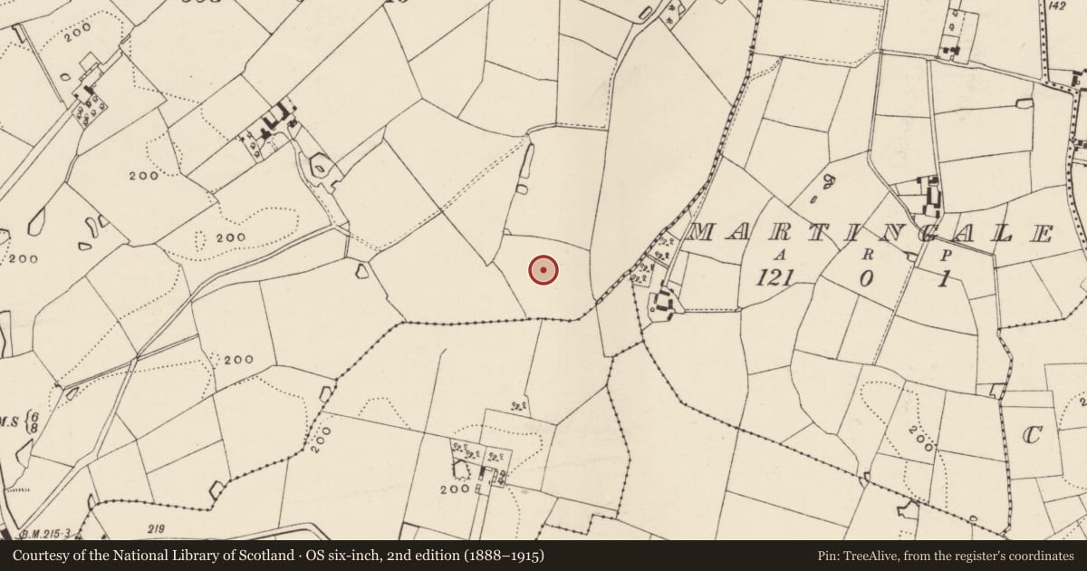 Ordnance Survey six-inch map, 2nd edition (1888–1915) covering the location of Ringfort - rath, Coolnaboy, County Wexford, with a pin at the register's coordinates