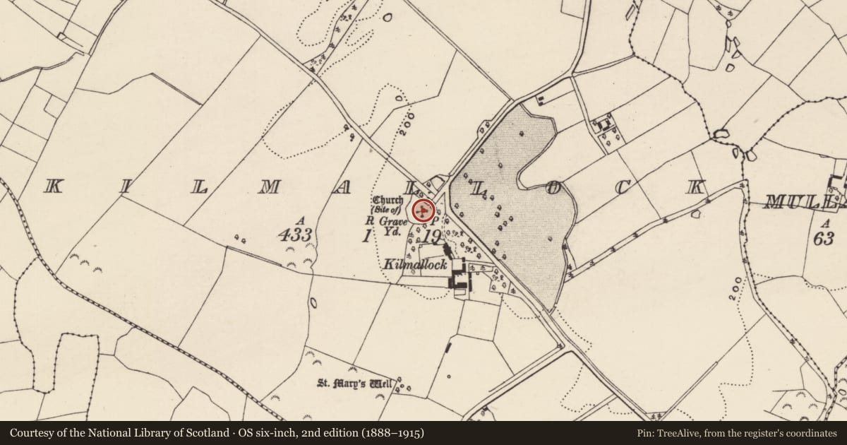 Ordnance Survey six-inch map, 2nd edition (1888–1915) covering the location of Graveyard, Kilmallock, County Wexford, with a pin at the register's coordinates