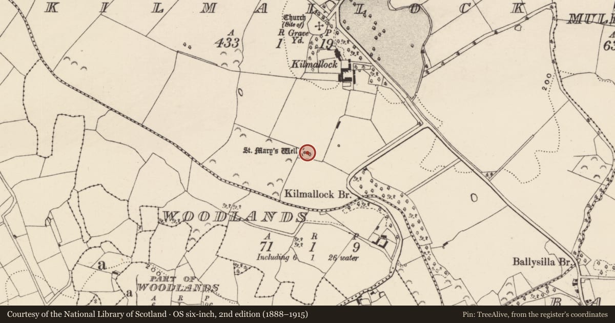 Ordnance Survey six-inch map, 2nd edition (1888–1915) covering the location of Ritual site - holy well, Kilmallock, County Wexford, with a pin at the register's coordinates