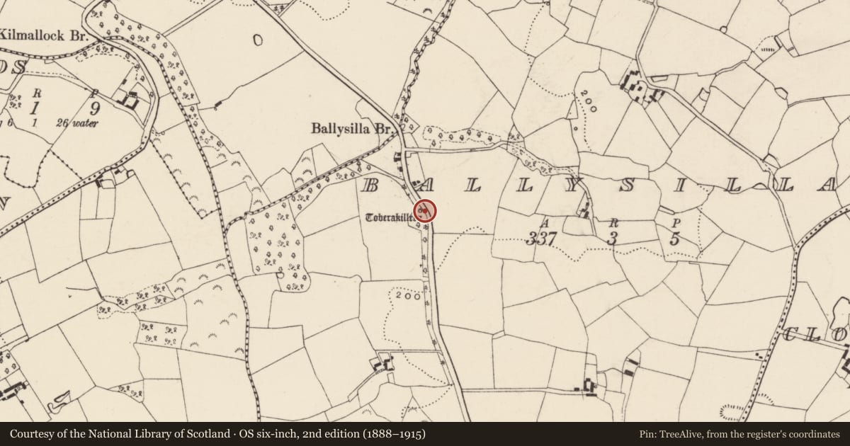 Ordnance Survey six-inch map, 2nd edition (1888–1915) covering the location of Ritual site - holy well, Ballysilla, County Wexford, with a pin at the register's coordinates