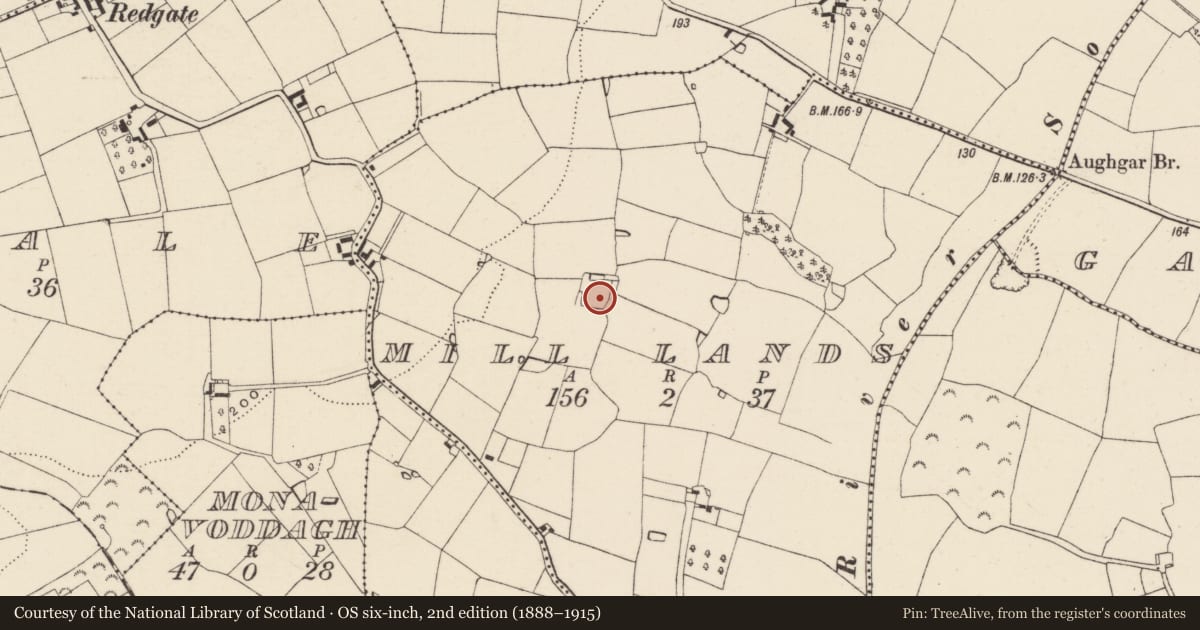 Ordnance Survey six-inch map, 2nd edition (1888–1915) covering the location of Moated site, Mill Lands, County Wexford, with a pin at the register's coordinates