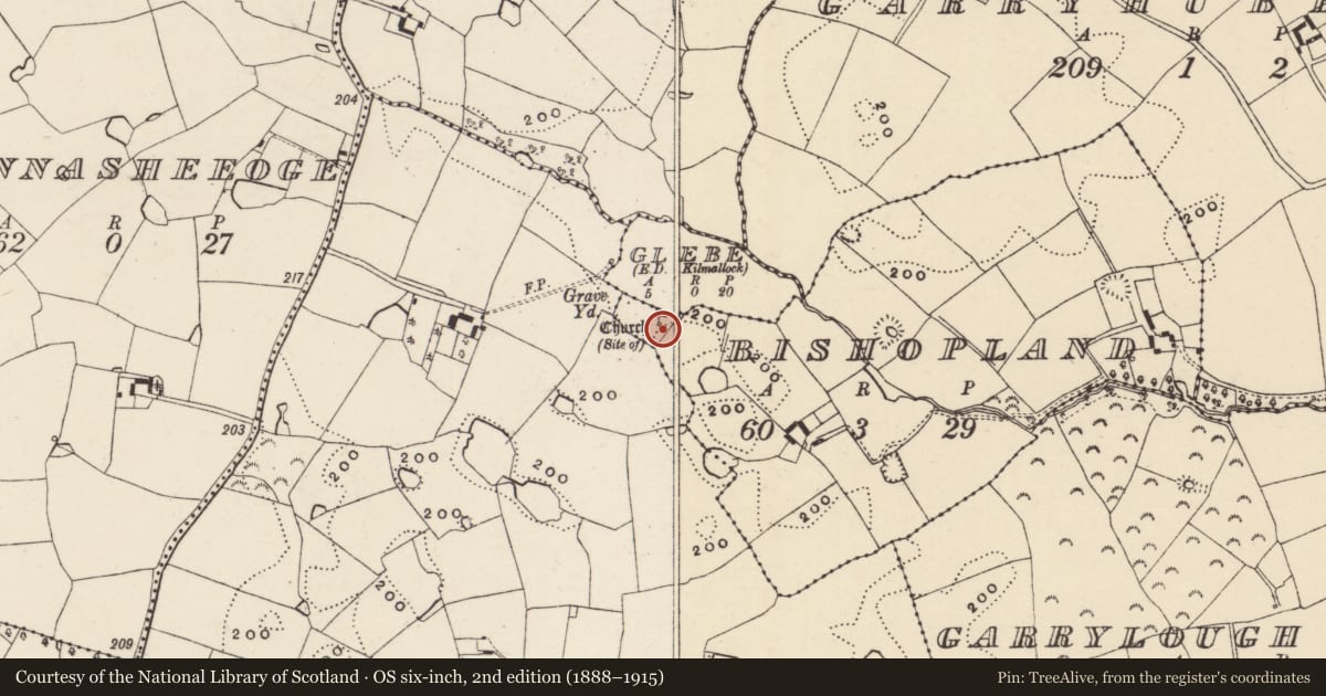 Ordnance Survey six-inch map, 2nd edition (1888–1915) covering the location of Graveyard, Bishopland, County Wexford, with a pin at the register's coordinates
