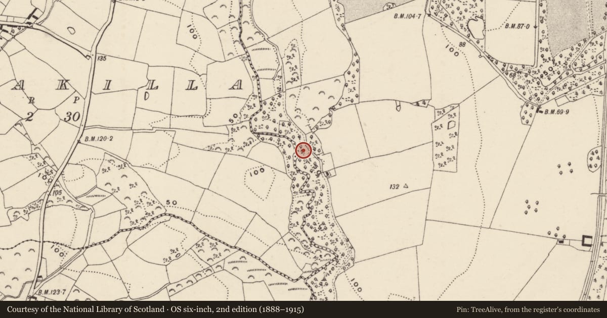 Ordnance Survey six-inch map, 2nd edition (1888–1915) covering the location of Promontory fort - inland, Ballyhoge, County Wexford, with a pin at the register's coordinates