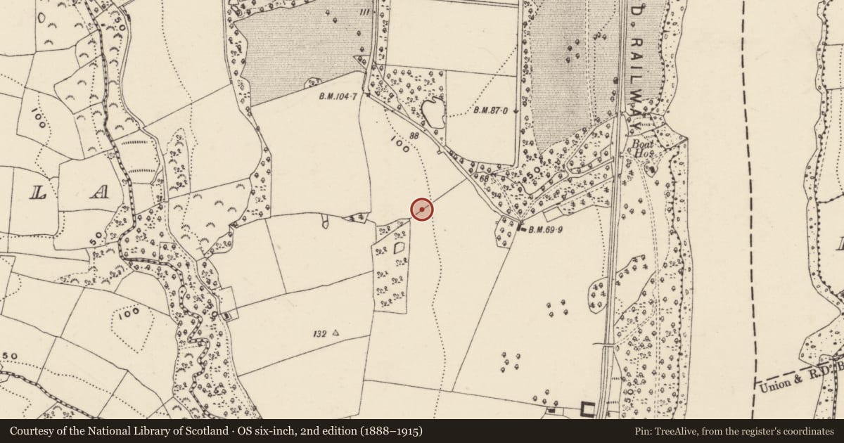 Ordnance Survey six-inch map, 2nd edition (1888–1915) covering the location of Ringfort - rath, Ballyhoge, County Wexford, with a pin at the register's coordinates