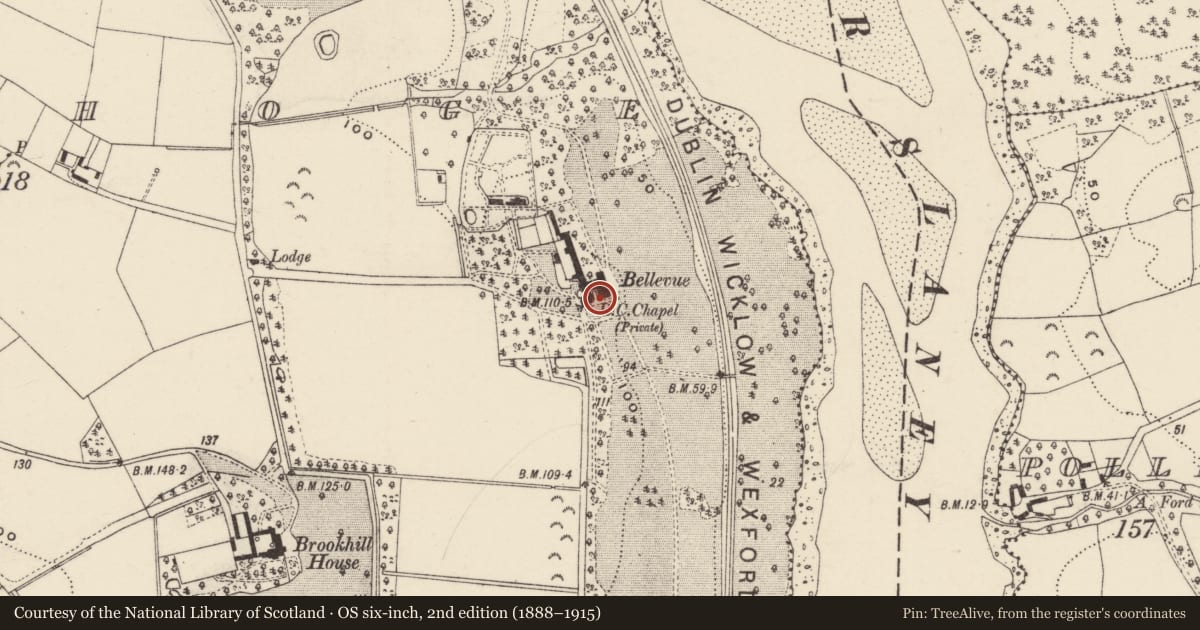 Ordnance Survey six-inch map, 2nd edition (1888–1915) covering the location of Castle - unclassified, Ballyhoge, County Wexford, with a pin at the register's coordinates