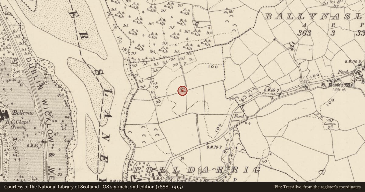 Ordnance Survey six-inch map, 2nd edition (1888–1915) covering the location of Ringfort - rath, Polldarrig, County Wexford, with a pin at the register's coordinates