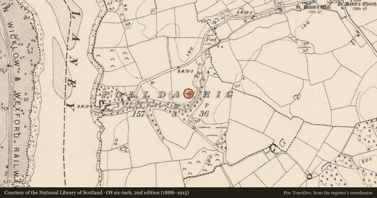 Ordnance Survey six-inch map, 2nd edition (1888–1915) covering the location of Ring-ditch, Polldarrig, County Wexford, with a pin at the register's coordinates