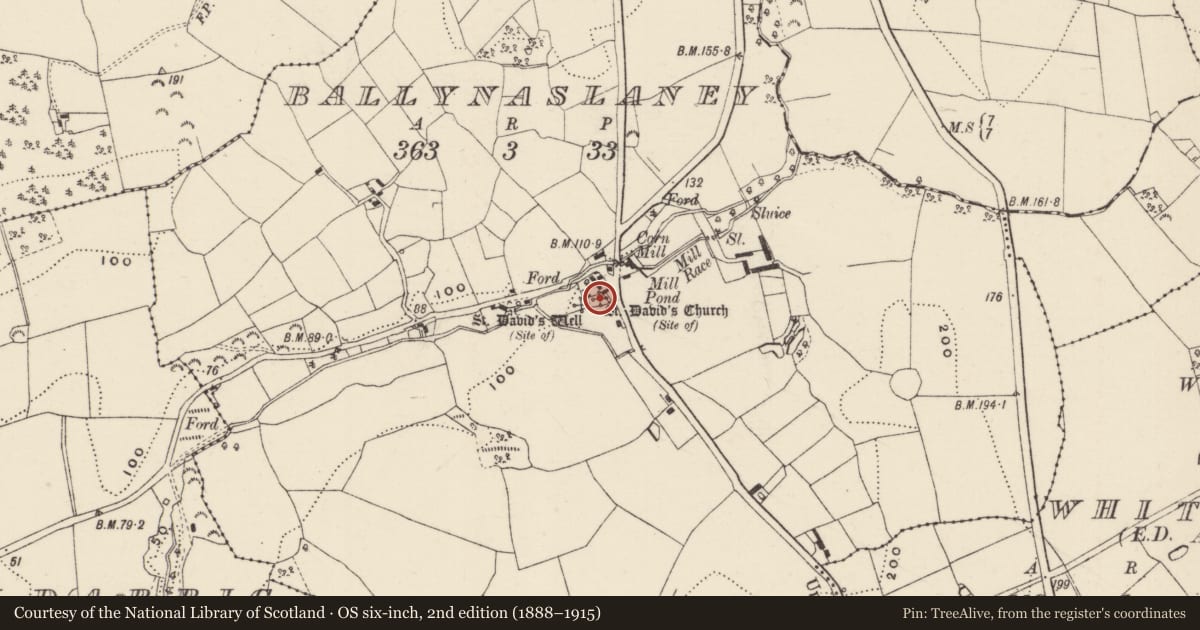Ordnance Survey six-inch map, 2nd edition (1888–1915) covering the location of Church, Ballynaslaney, County Wexford, with a pin at the register's coordinates