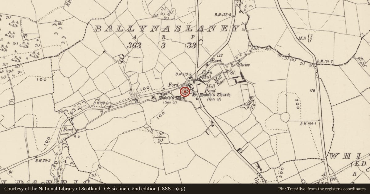 Ordnance Survey six-inch map, 2nd edition (1888–1915) covering the location of Ritual site - holy well, Ballynaslaney, County Wexford, with a pin at the register's coordinates