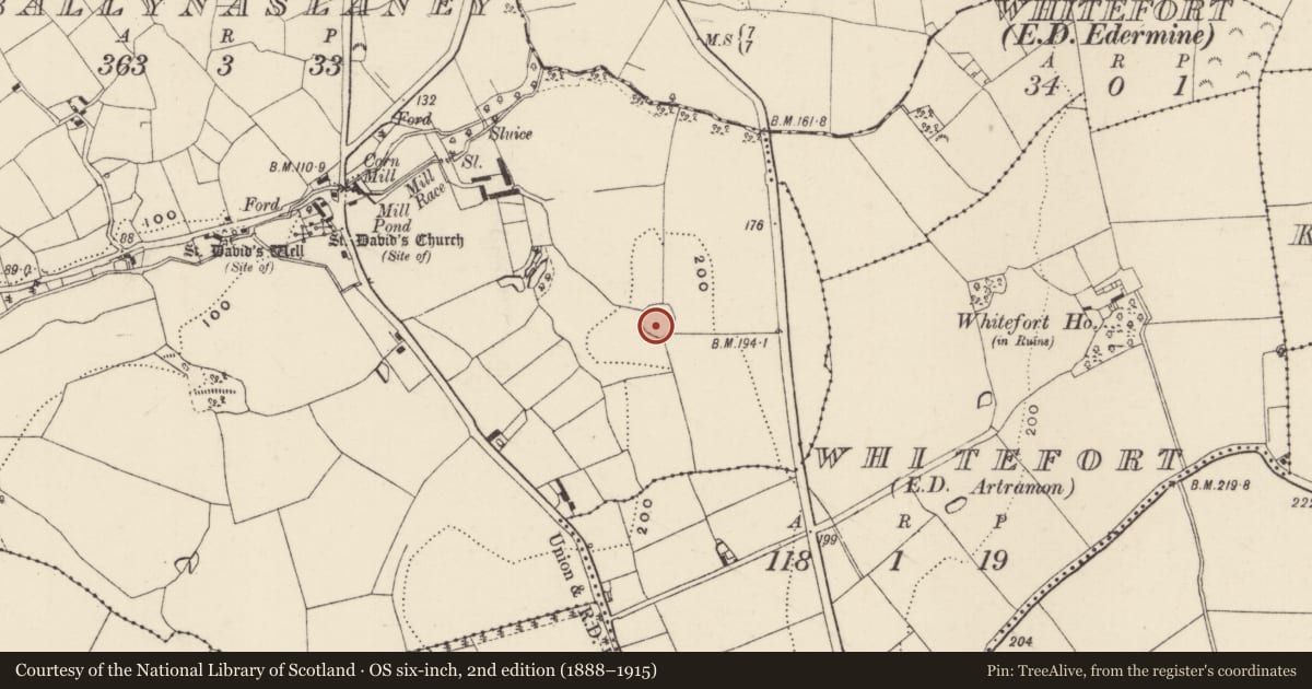 Ordnance Survey six-inch map, 2nd edition (1888–1915) covering the location of Ringfort - rath, Ballynaslaney, County Wexford, with a pin at the register's coordinates