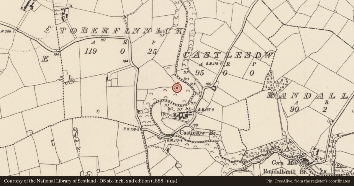 Ordnance Survey six-inch map, 2nd edition (1888–1915) covering the location of Castle - ringwork, Toberfinnick, County Wexford, with a pin at the register's coordinates
