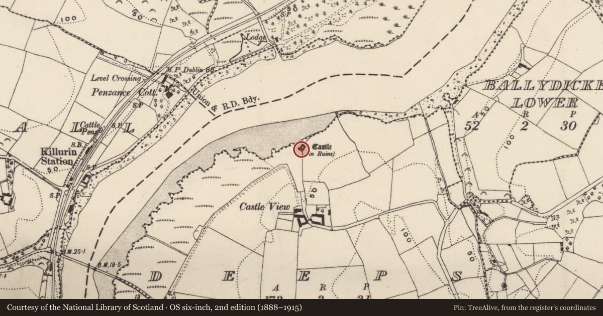 Ordnance Survey six-inch map, 2nd edition (1888–1915) covering the location of Castle - tower house, Deeps, County Wexford, with a pin at the register's coordinates