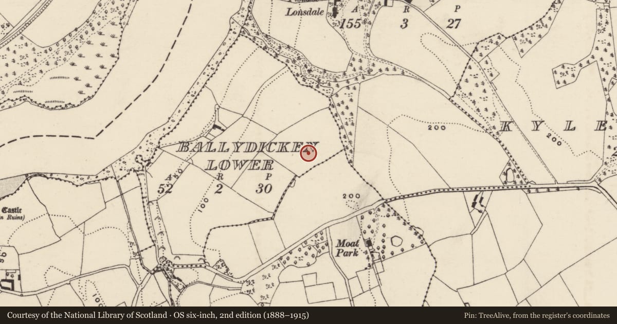 Ordnance Survey six-inch map, 2nd edition (1888–1915) covering the location of Ringfort - rath, Ballydicken Lower, County Wexford, with a pin at the register's coordinates