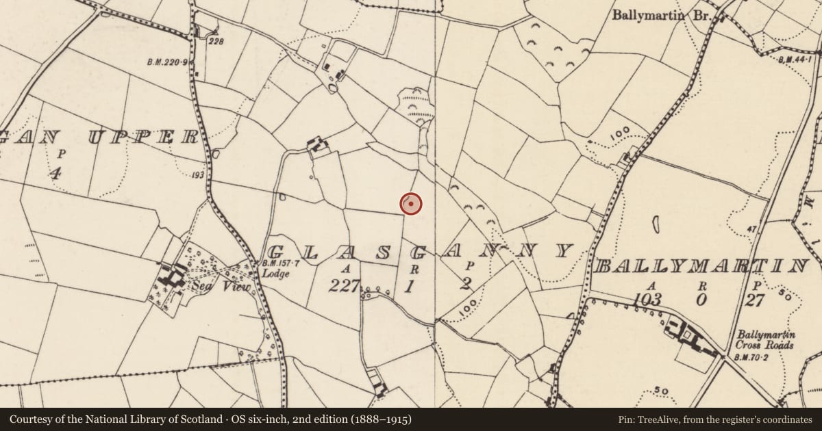 Ordnance Survey six-inch map, 2nd edition (1888–1915) covering the location of Ringfort - unclassified, Glasganny, County Wexford, with a pin at the register's coordinates