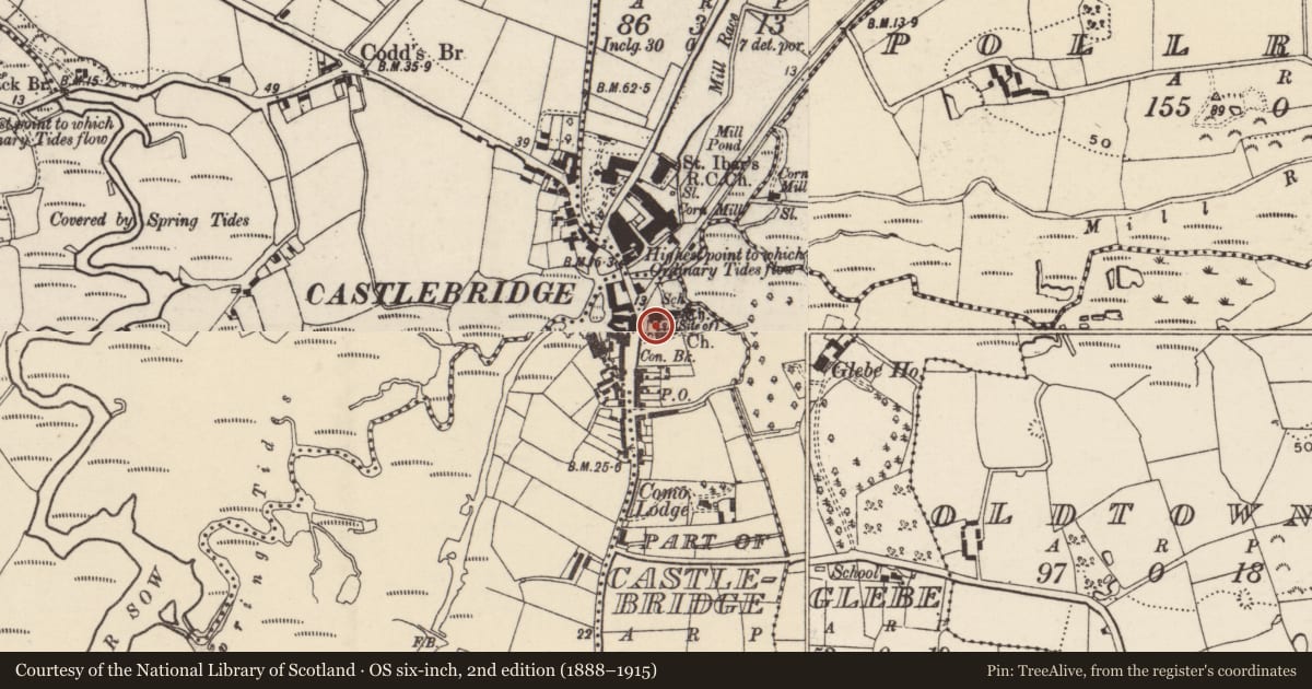 Ordnance Survey six-inch map, 2nd edition (1888–1915) covering the location of Castle - unclassified, Castlebridge (Part of), County Wexford, with a pin at the register's coordinates
