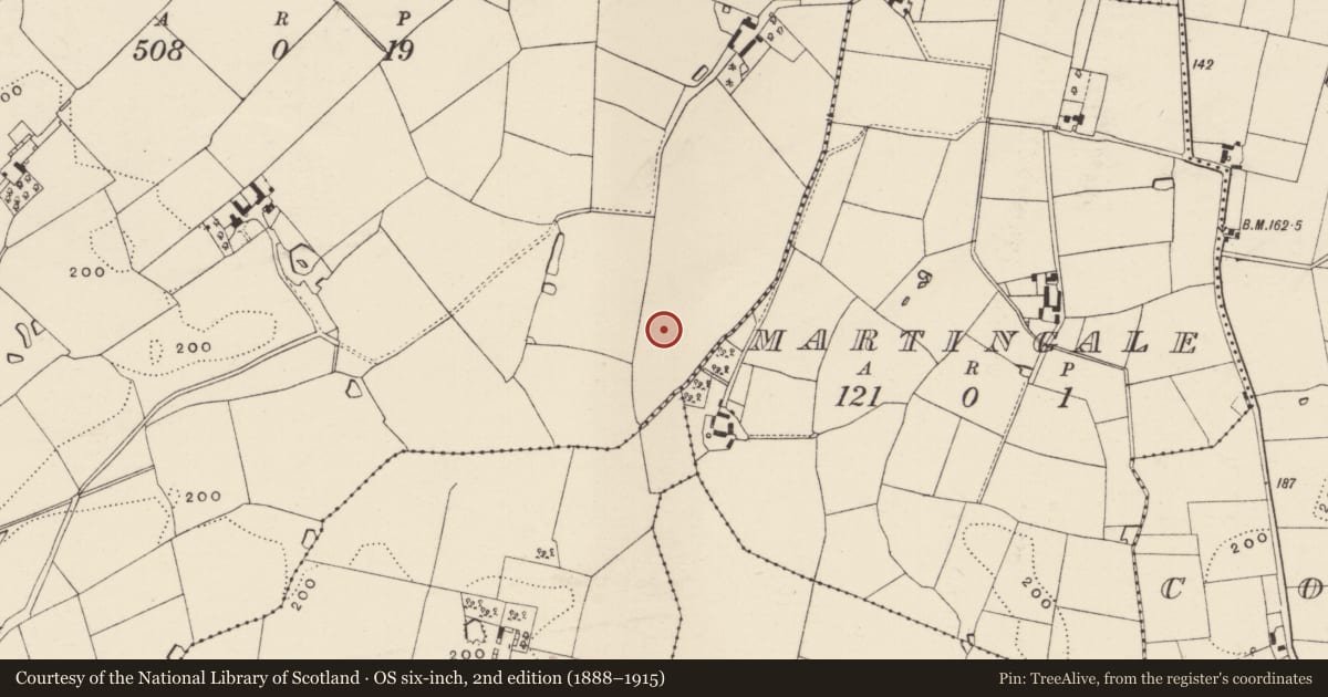 Ordnance Survey six-inch map, 2nd edition (1888–1915) covering the location of Cist, Coolnaboy, County Wexford, with a pin at the register's coordinates