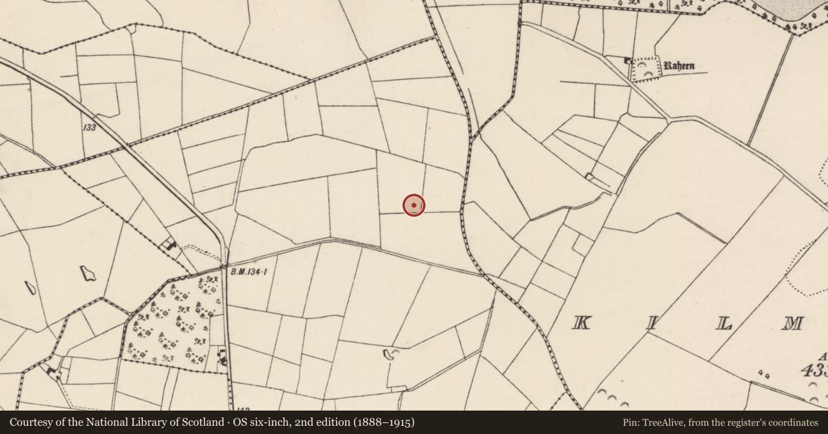 Ordnance Survey six-inch map, 2nd edition (1888–1915) covering the location of Ringfort - rath, Coolamain, County Wexford, with a pin at the register's coordinates