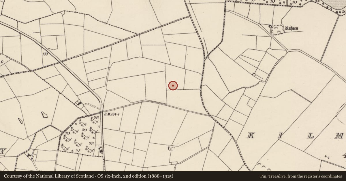 Ordnance Survey six-inch map, 2nd edition (1888–1915) covering the location of Enclosure, Coolamain, County Wexford, with a pin at the register's coordinates