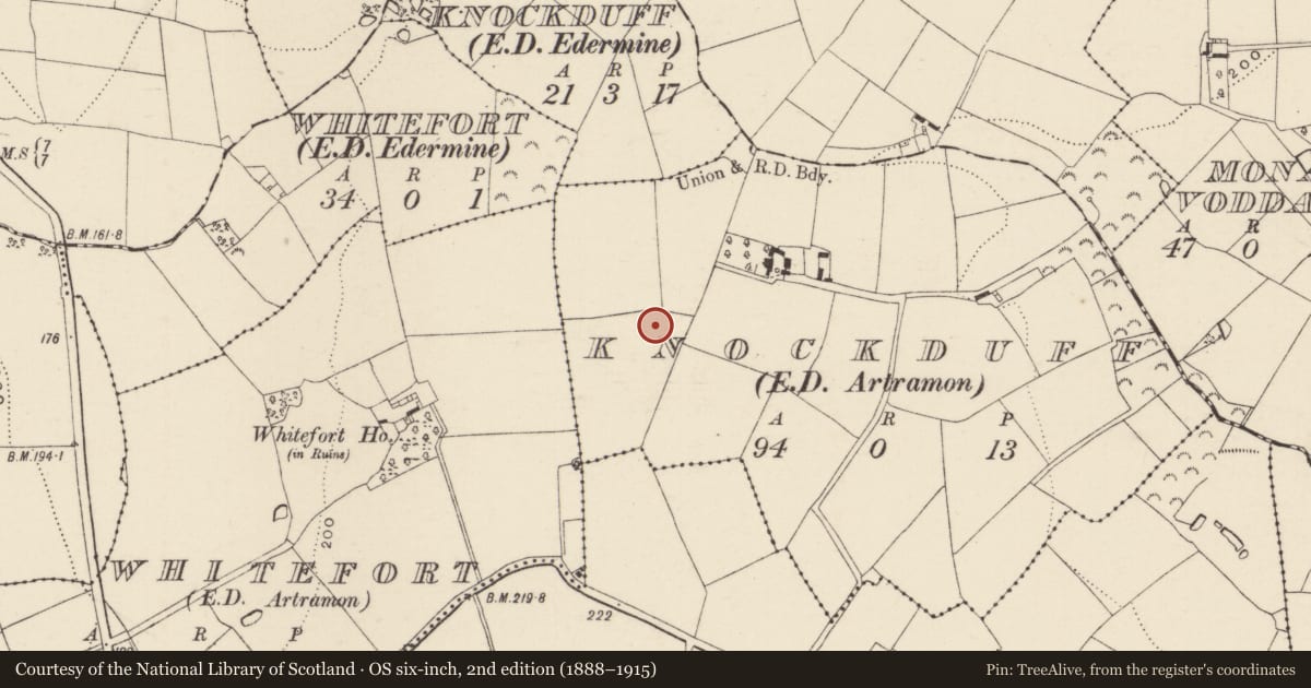 Ordnance Survey six-inch map, 2nd edition (1888–1915) covering the location of Ringfort - rath, Knockduff, County Wexford, with a pin at the register's coordinates