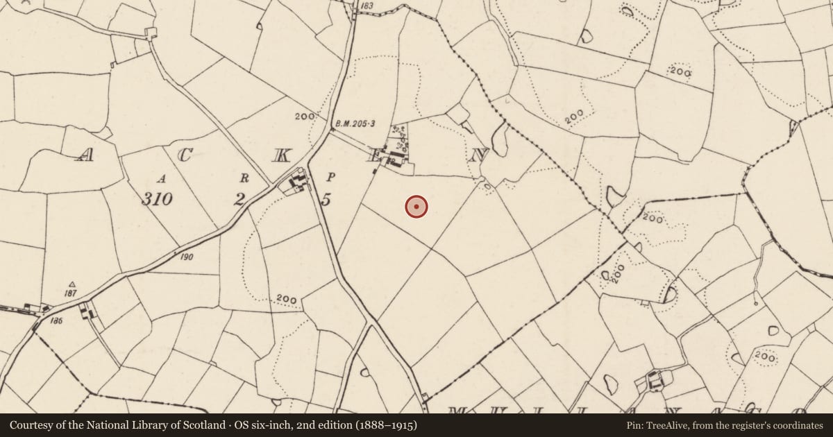Ordnance Survey six-inch map, 2nd edition (1888–1915) covering the location of Ring-ditch, Lacken, County Wexford, with a pin at the register's coordinates