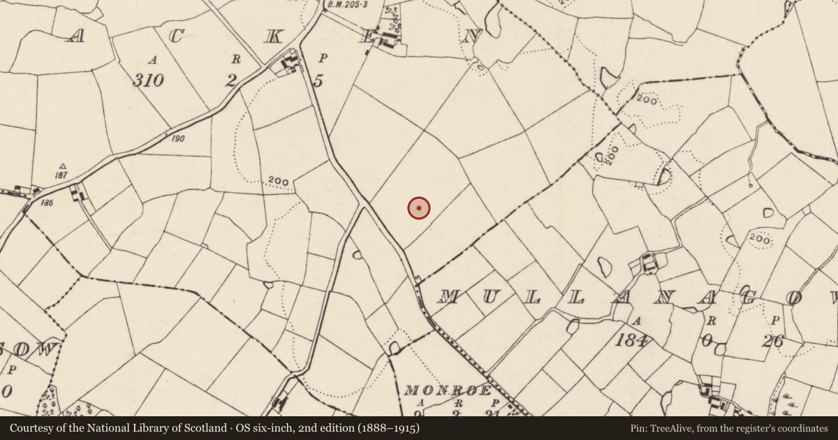 Ordnance Survey six-inch map, 2nd edition (1888–1915) covering the location of Ringfort - rath, Lacken, County Wexford, with a pin at the register's coordinates