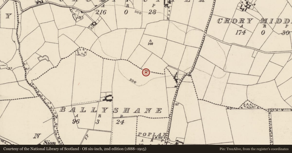 Ordnance Survey six-inch map, 2nd edition (1888–1915) covering the location of Ringfort - rath, Ballyshane, County Wexford, with a pin at the register's coordinates