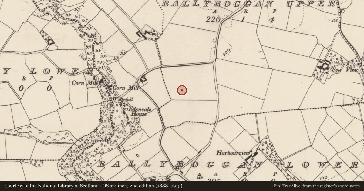 Ordnance Survey six-inch map, 2nd edition (1888–1915) covering the location of Enclosure, Ballyboggan Upper, County Wexford, with a pin at the register's coordinates