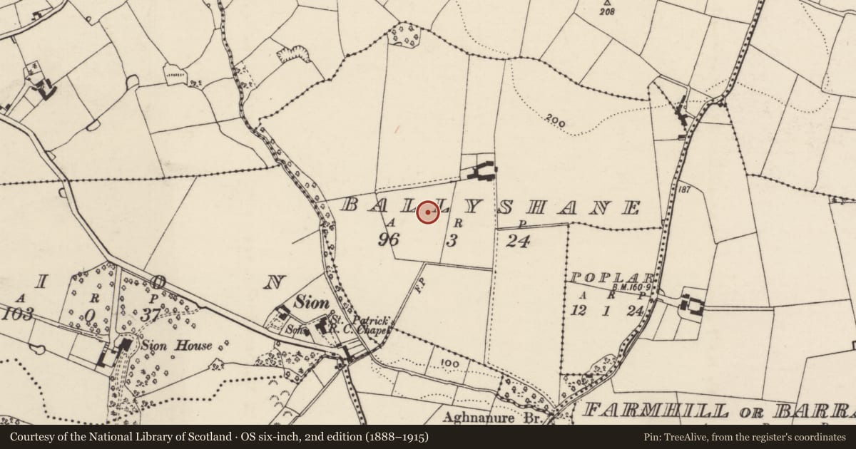 Ordnance Survey six-inch map, 2nd edition (1888–1915) covering the location of Ringfort - rath, Ballyshane, County Wexford, with a pin at the register's coordinates