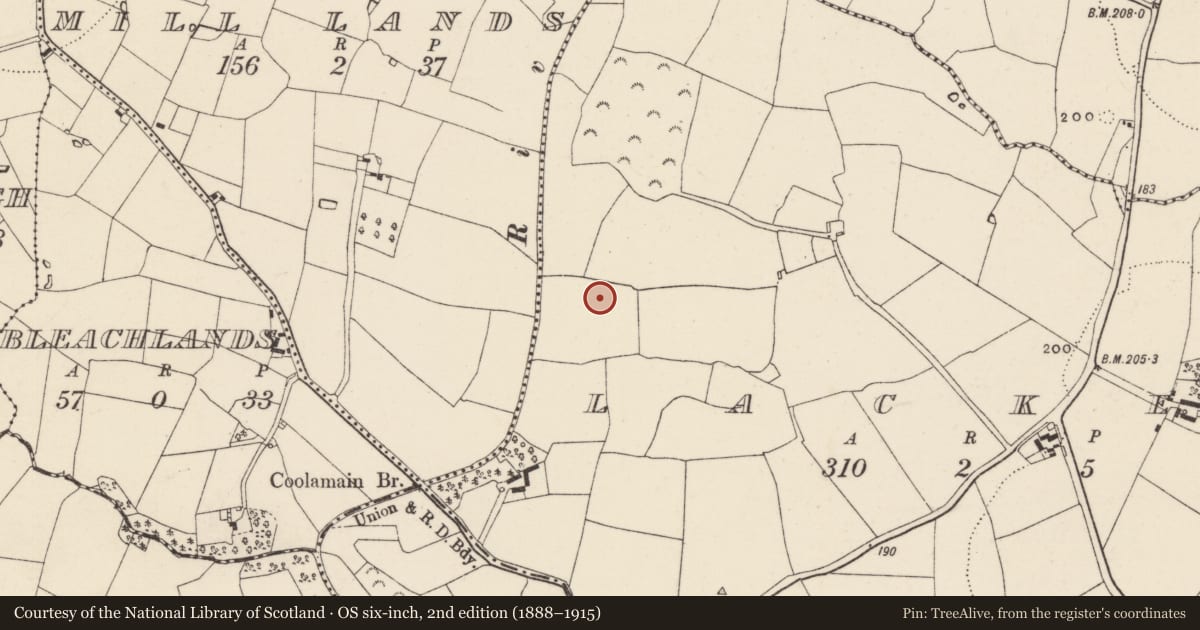 Ordnance Survey six-inch map, 2nd edition (1888–1915) covering the location of Ringfort - rath, Lacken, County Wexford, with a pin at the register's coordinates