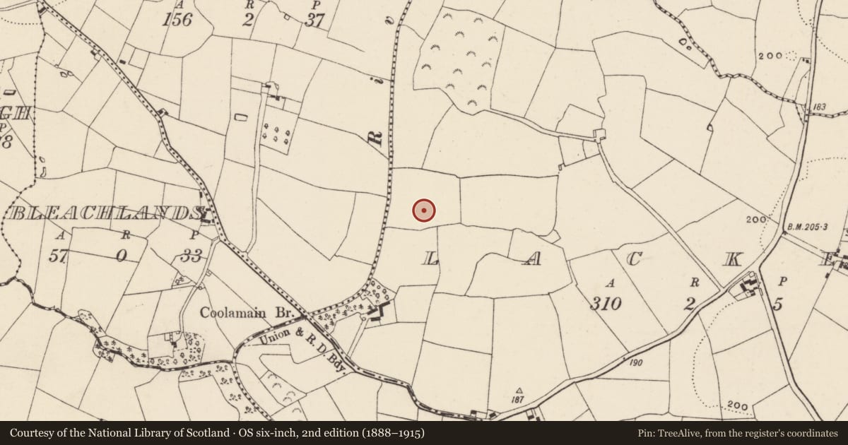 Ordnance Survey six-inch map, 2nd edition (1888–1915) covering the location of Ring-ditch, Lacken, County Wexford, with a pin at the register's coordinates