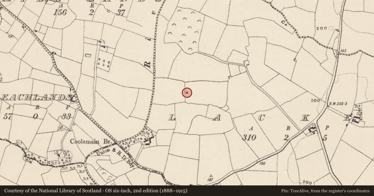 Ordnance Survey six-inch map, 2nd edition (1888–1915) covering the location of Ring-ditch, Lacken, County Wexford, with a pin at the register's coordinates