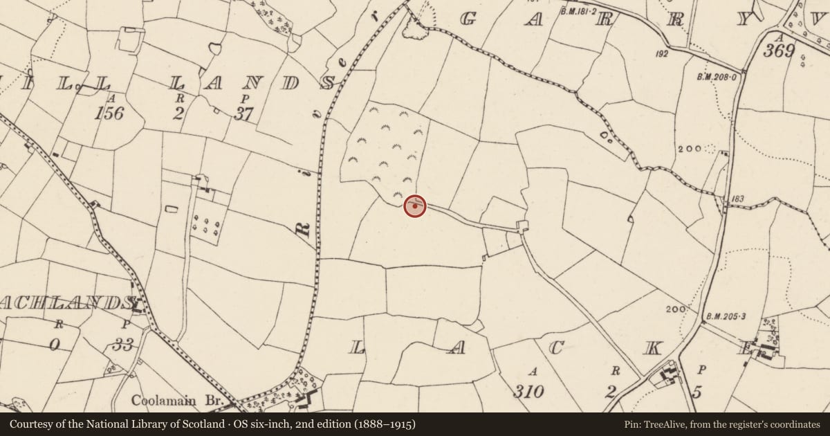 Ordnance Survey six-inch map, 2nd edition (1888–1915) covering the location of Ring-ditch, Lacken, County Wexford, with a pin at the register's coordinates