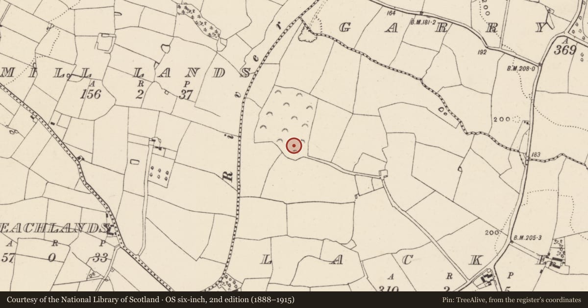Ordnance Survey six-inch map, 2nd edition (1888–1915) covering the location of Ring-ditch, Lacken, County Wexford, with a pin at the register's coordinates