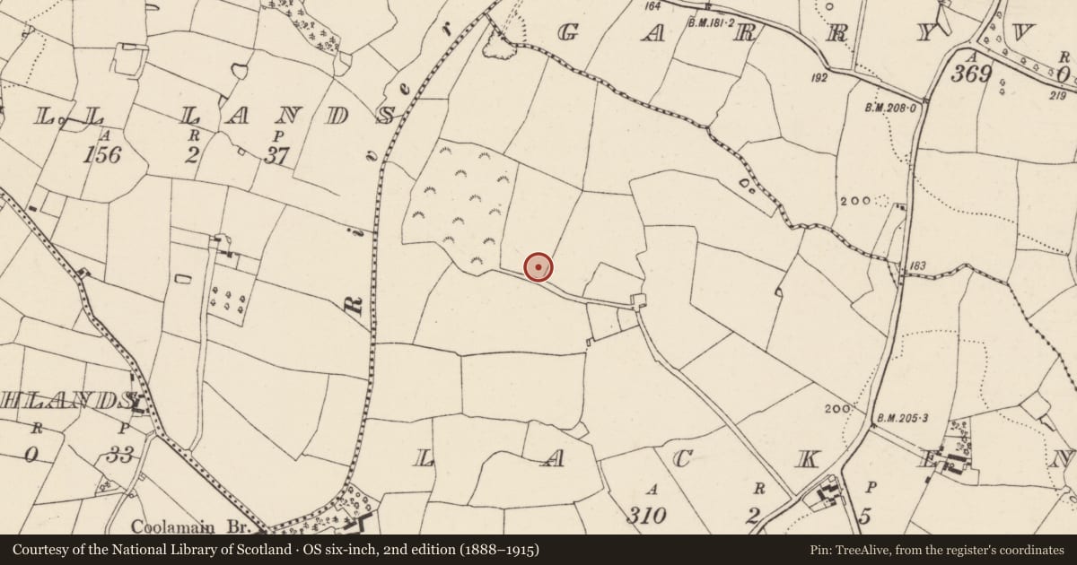 Ordnance Survey six-inch map, 2nd edition (1888–1915) covering the location of Ring-ditch, Lacken, County Wexford, with a pin at the register's coordinates