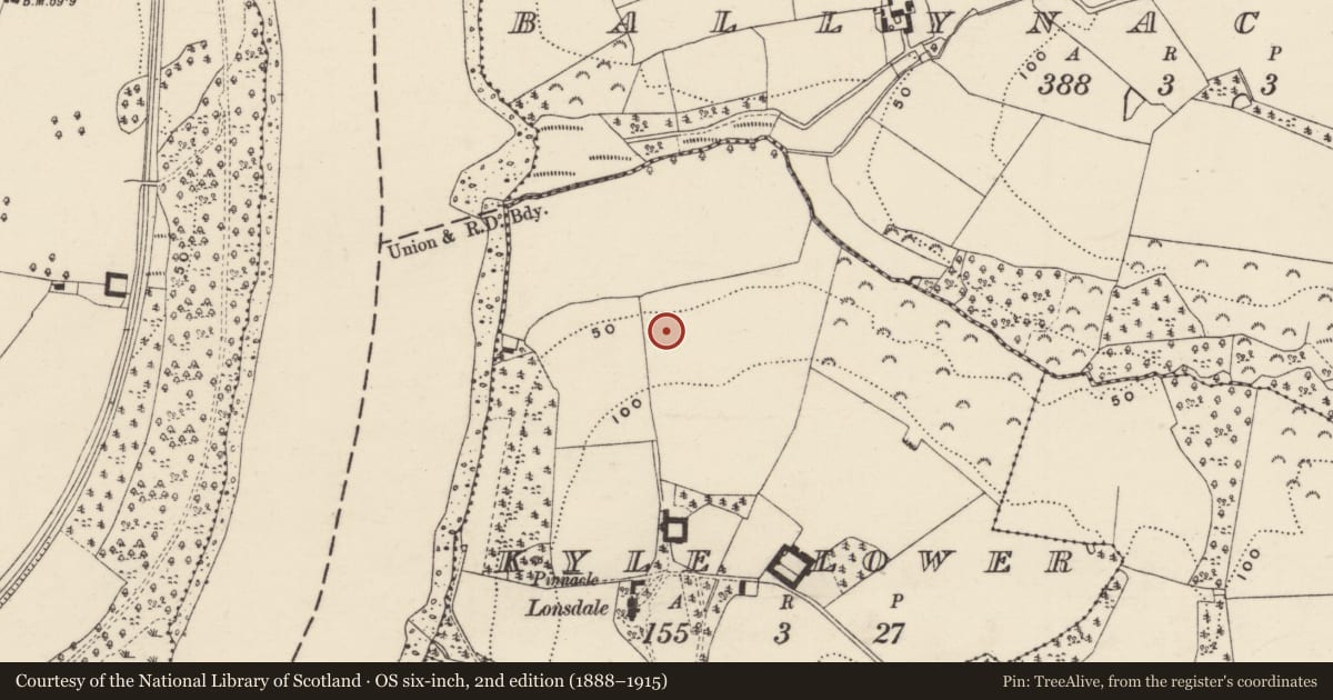 Ordnance Survey six-inch map, 2nd edition (1888–1915) covering the location of Ringfort - rath, Kyle Lower, County Wexford, with a pin at the register's coordinates