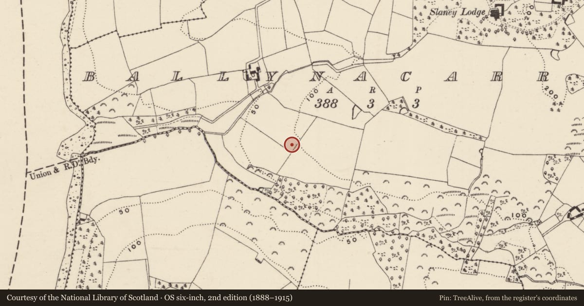 Ordnance Survey six-inch map, 2nd edition (1888–1915) covering the location of Ringfort - rath, Ballynacarrig, County Wexford, with a pin at the register's coordinates