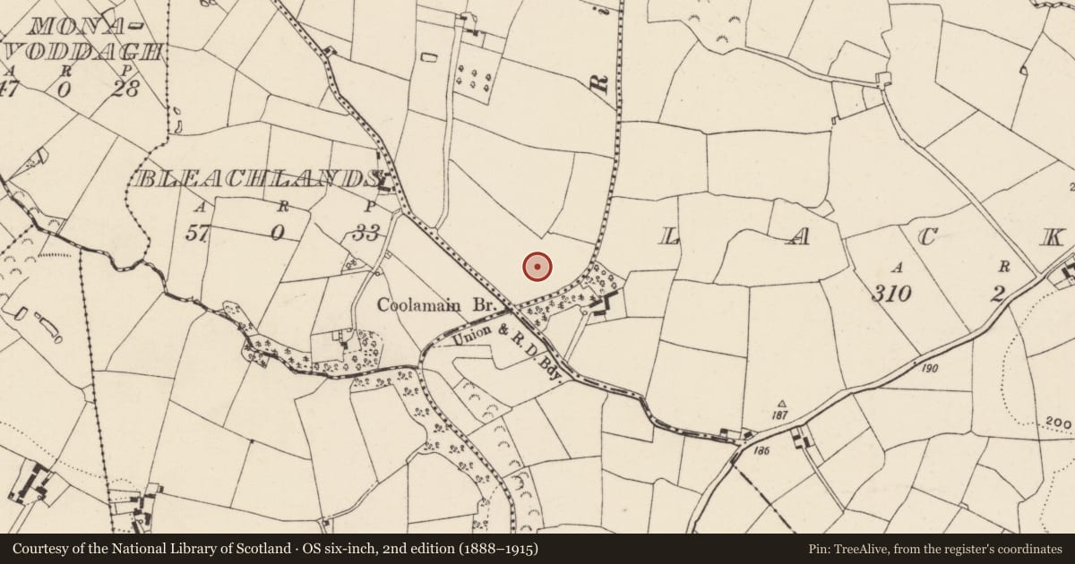 Ordnance Survey six-inch map, 2nd edition (1888–1915) covering the location of Souterrain, Mill Lands, County Wexford, with a pin at the register's coordinates