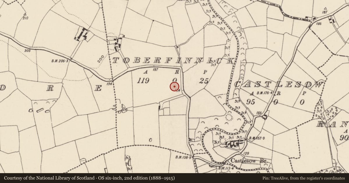 Ordnance Survey six-inch map, 2nd edition (1888–1915) covering the location of Ringfort - rath, Toberfinnick, County Wexford, with a pin at the register's coordinates