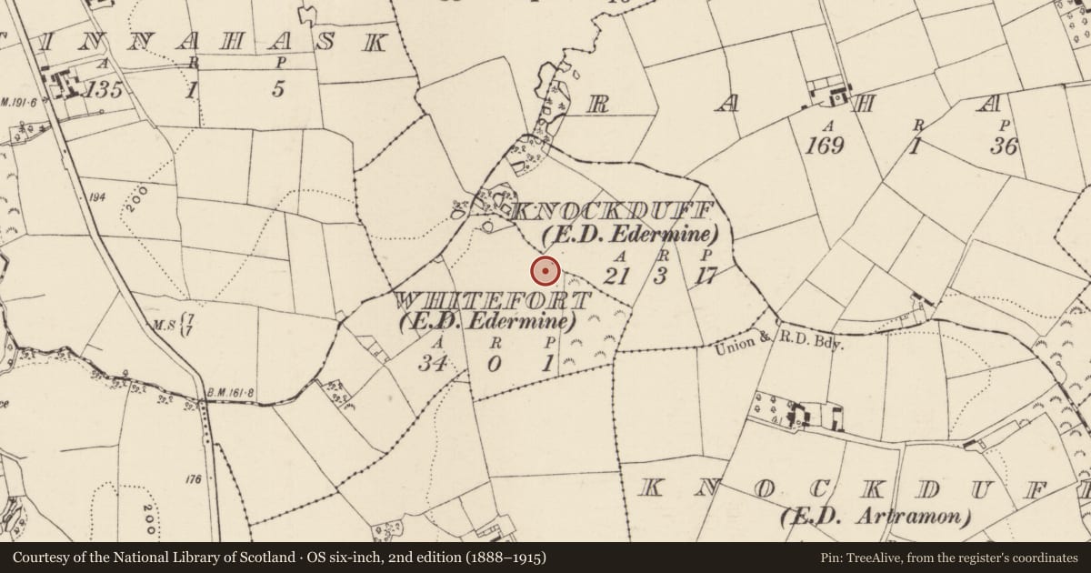 Ordnance Survey six-inch map, 2nd edition (1888–1915) covering the location of Ringfort - rath, Whitefort, County Wexford, with a pin at the register's coordinates