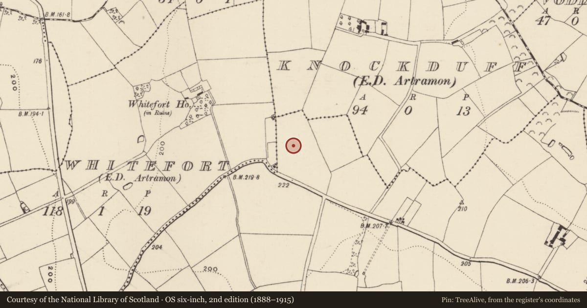 Ordnance Survey six-inch map, 2nd edition (1888–1915) covering the location of Ringfort - rath, Monmore, County Wexford, with a pin at the register's coordinates