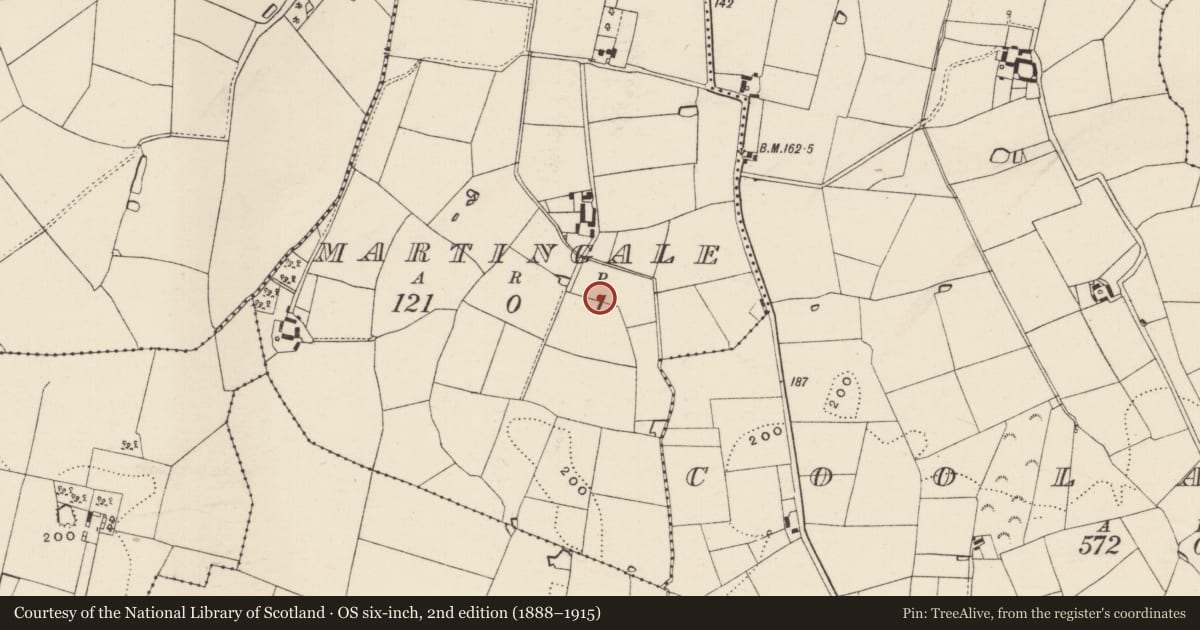Ordnance Survey six-inch map, 2nd edition (1888–1915) covering the location of Enclosure, Martingale, County Wexford, with a pin at the register's coordinates
