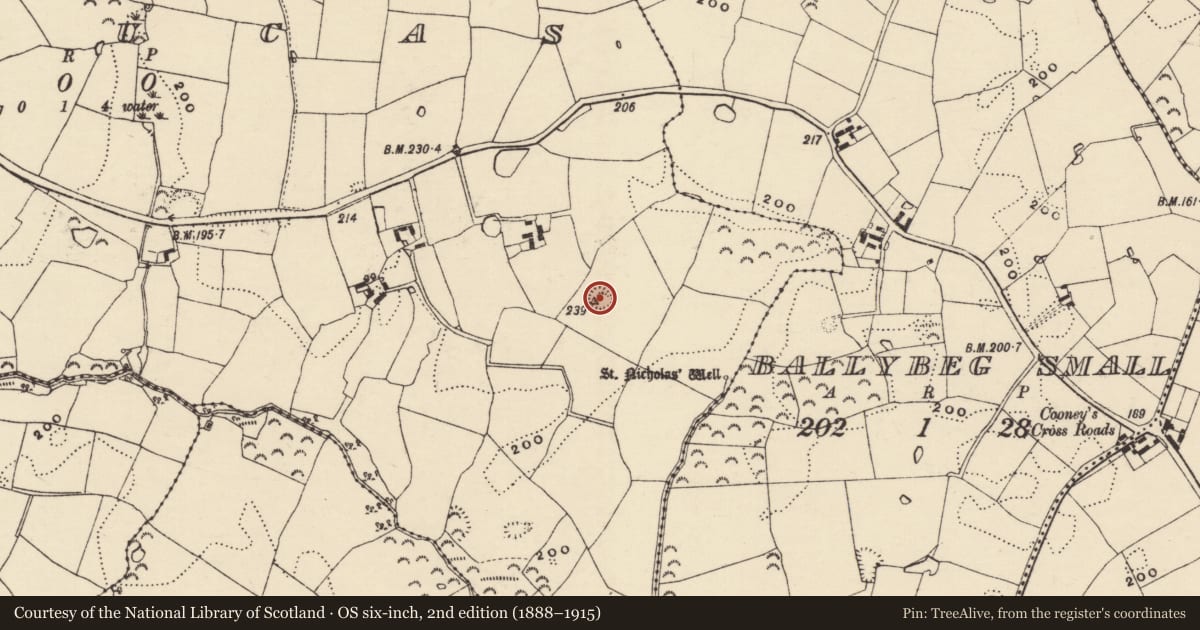 Ordnance Survey six-inch map, 2nd edition (1888–1915) covering the location of Ringfort - rath, Ballylucas, County Wexford, with a pin at the register's coordinates