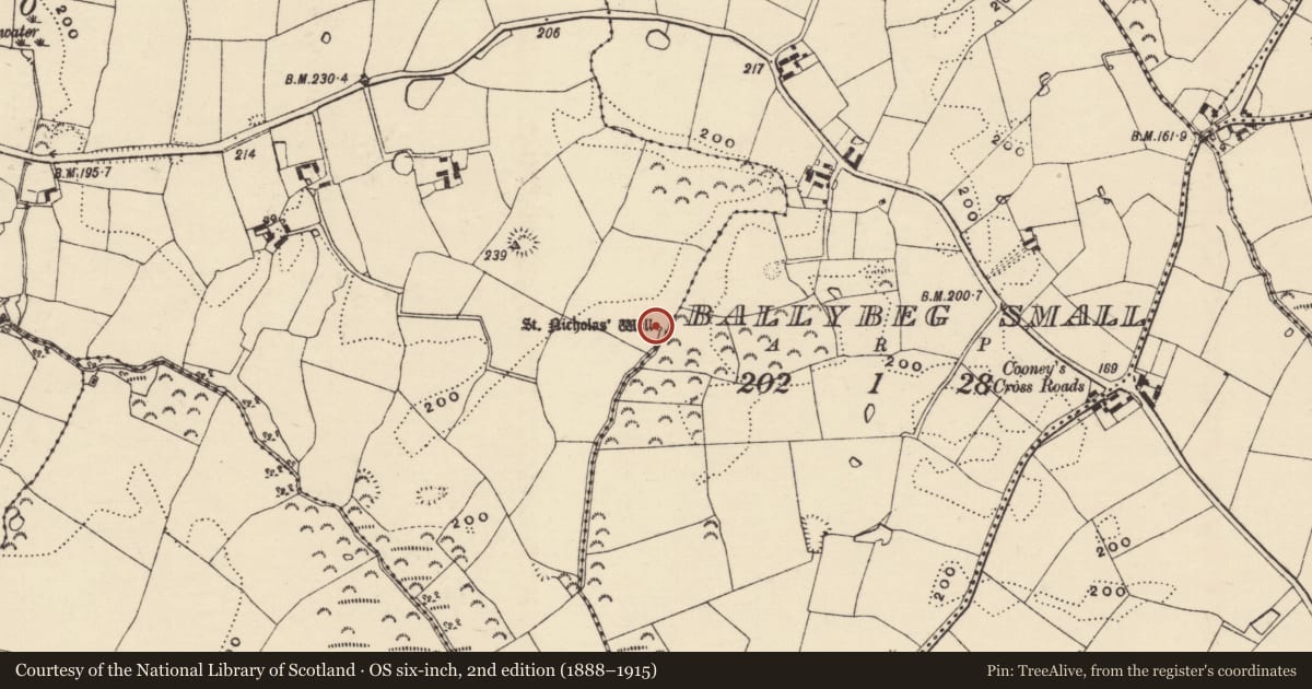 Ordnance Survey six-inch map, 2nd edition (1888–1915) covering the location of Ritual site - holy well, Ballylucas, County Wexford, with a pin at the register's coordinates