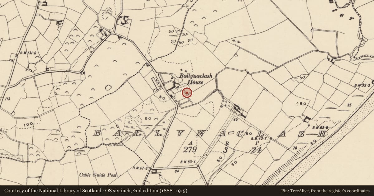 Ordnance Survey six-inch map, 2nd edition (1888–1915) covering the location of House - 17th century, Ballynaclash, County Wexford, with a pin at the register's coordinates