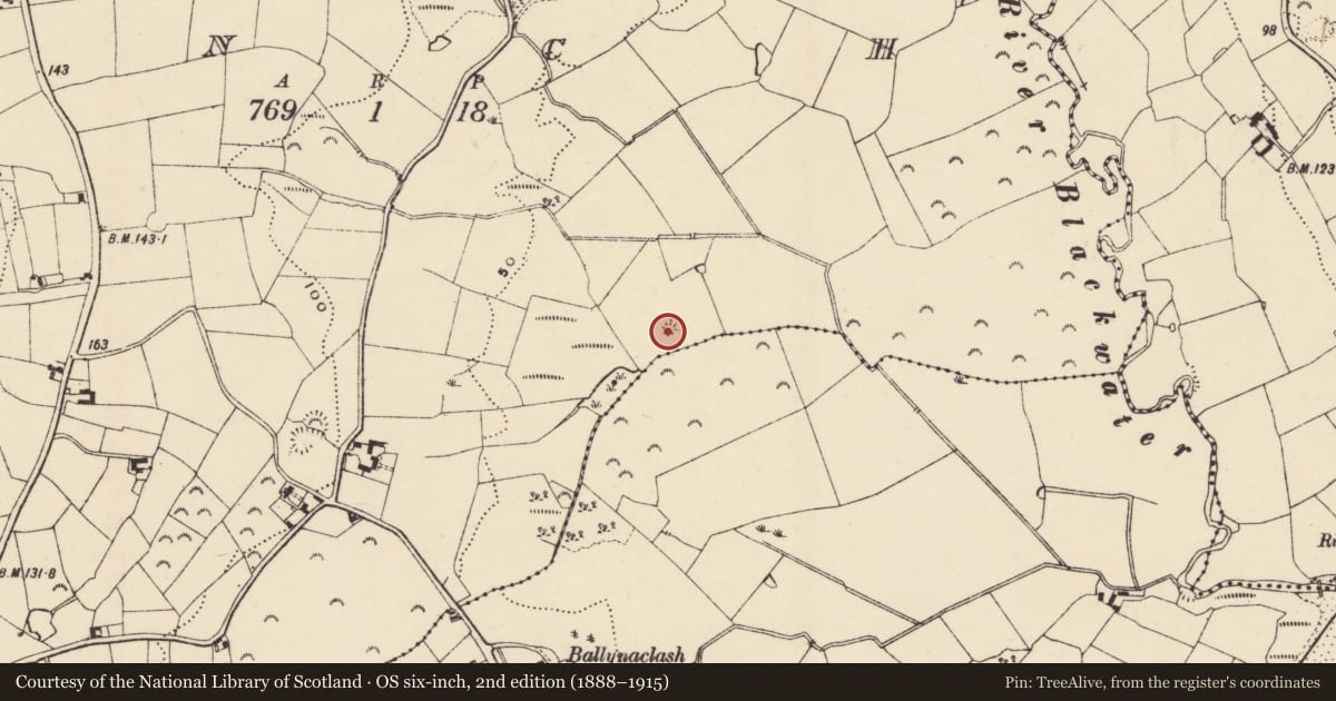 Ordnance Survey six-inch map, 2nd edition (1888–1915) covering the location of Castle - motte, Inch, County Wexford, with a pin at the register's coordinates