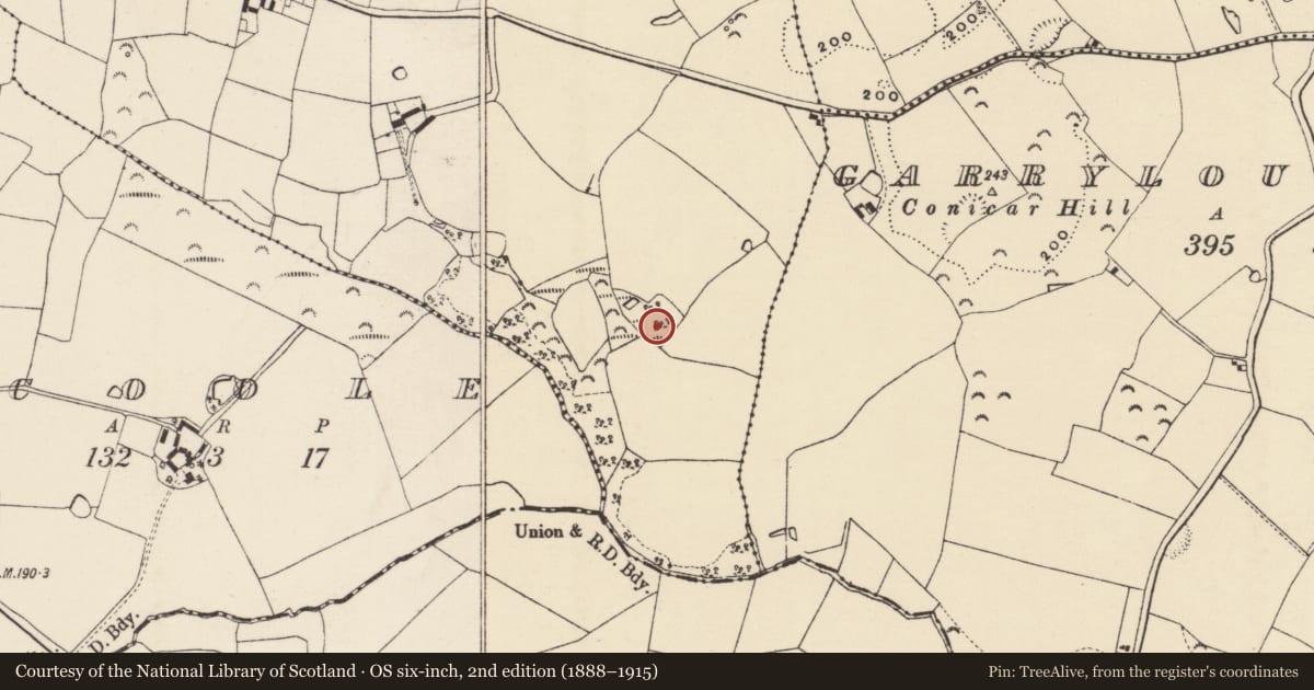 Ordnance Survey six-inch map, 2nd edition (1888–1915) covering the location of Moated site, Killelan, County Wexford, with a pin at the register's coordinates