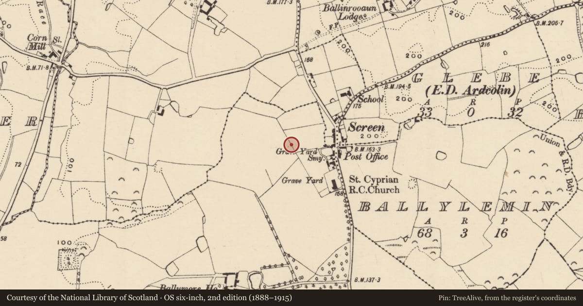 Ordnance Survey six-inch map, 2nd edition (1888–1915) covering the location of Ritual site - holy well, Ballymore, County Wexford, with a pin at the register's coordinates